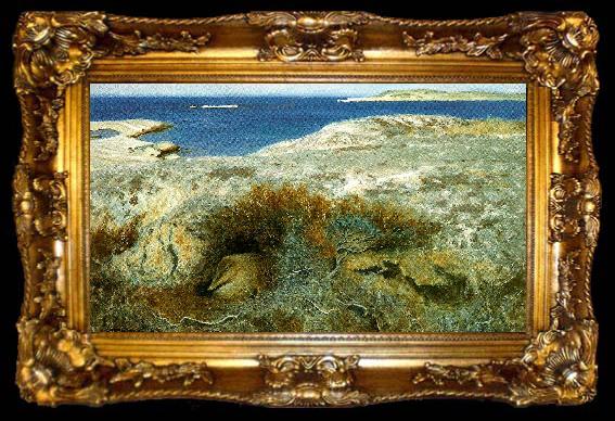 framed  bruno liljefors ejderhona, ta009-2